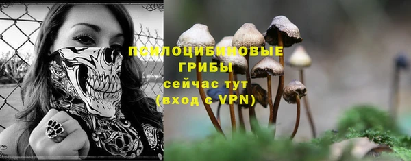 дживик Надым
