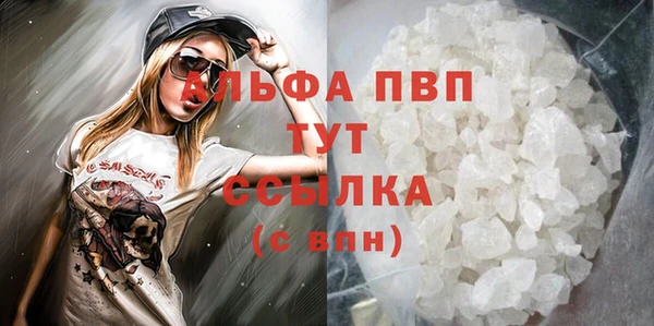 дживик Надым